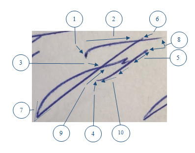 Критерии оценки подписи человека