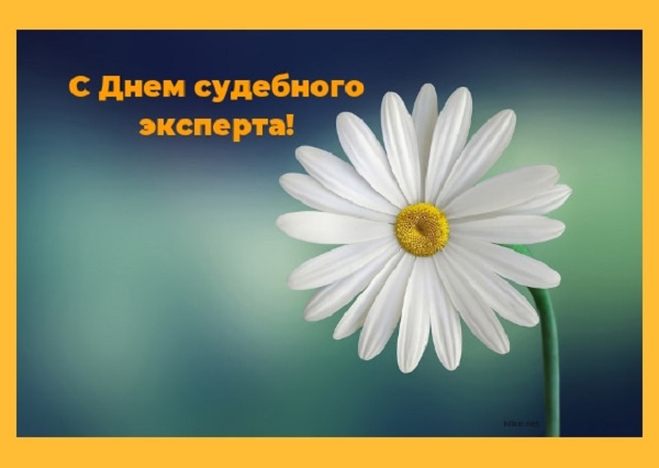 С Днем Судебного Эксперта!